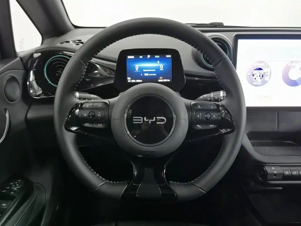 BYD Dolphin 2025 420km Fashion Edition фото 11