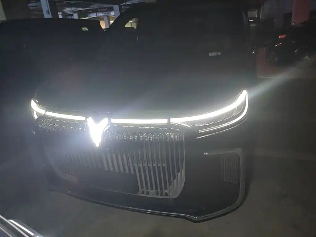 Voyah Auto Voyah Dreamer 2025 PHEV AWD Flagship Kunpeng Edition фото 3