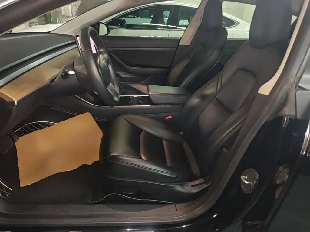 Tesla Model 3 2020 2020 Standard Range Rear-Wheel Drive Upgrade