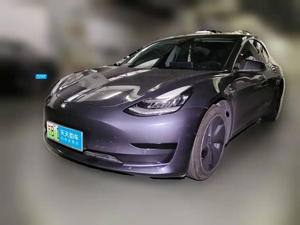 Tesla Model 3 2020 Standard Range Rear-Wheel Drive Upgrade