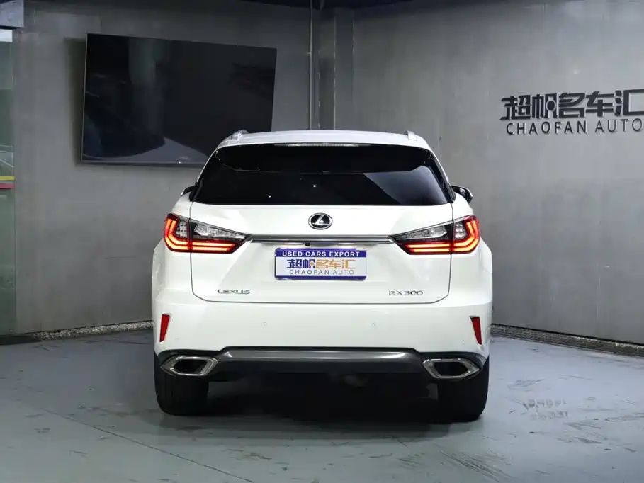 Lexus RX 2016 300 4WD Elegance Edition China VI фото 4