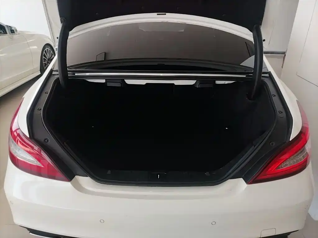 Mercedes-Benz CLS 2017 CLS 320 Elegance Edition фото 19
