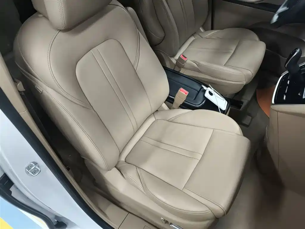 Buick GL8 2021 ES Landlord 653T Premium фото 20