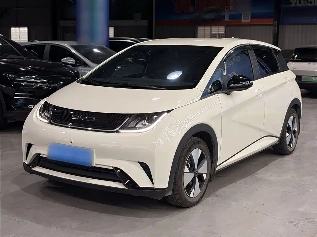 BYD Dolphin 2023 420km Freedom Edition