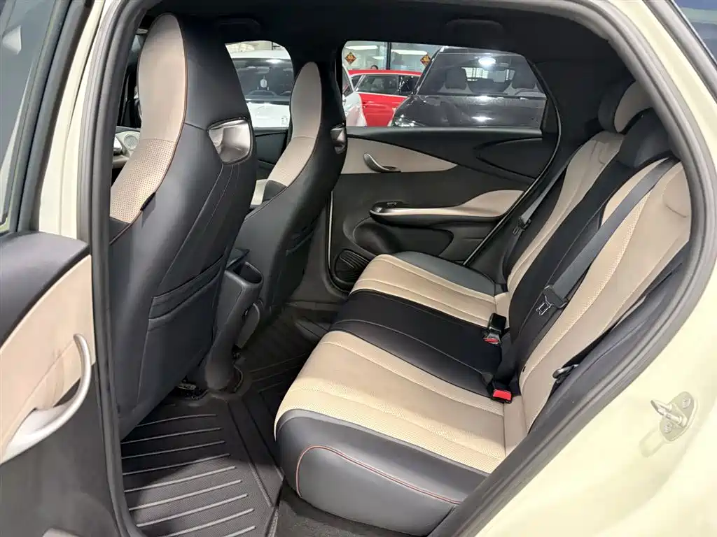 BYD Dolphin 2023 420km Freedom Edition фото 17