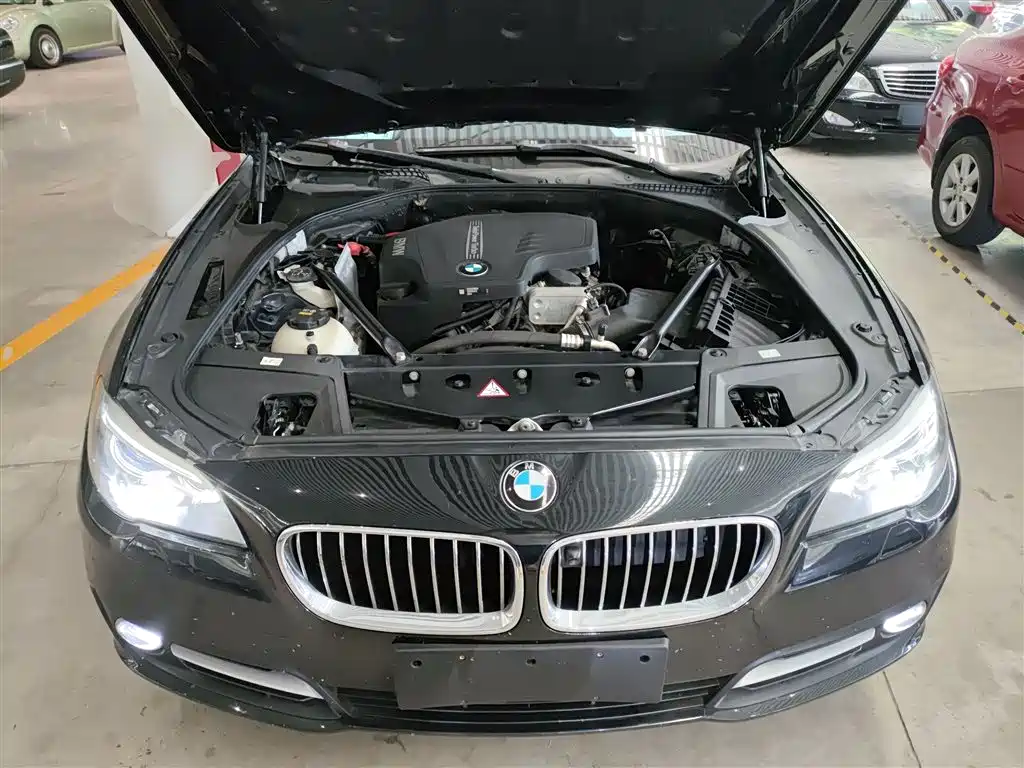 BMW 5 Series 2014 525Li Leading фото 10