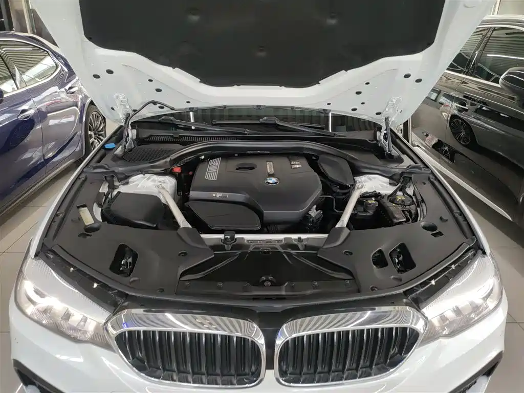 BMW 5 Series 2018 Facelift 530Li Leading M Sport Package фото 20