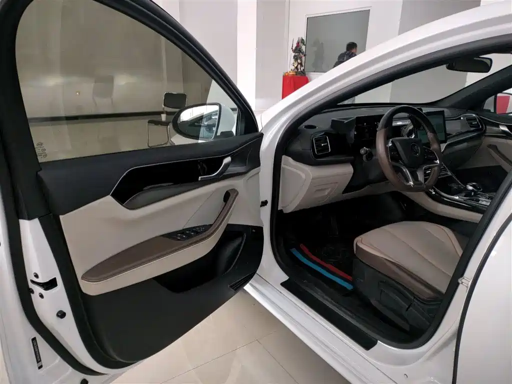 BYD Qin PLUS 2023 Champion Edition EV 420KM Leading Type фото 12