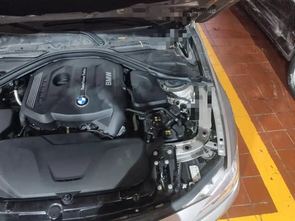 BMW 3 Series 2017 320Li Fashion фото 23