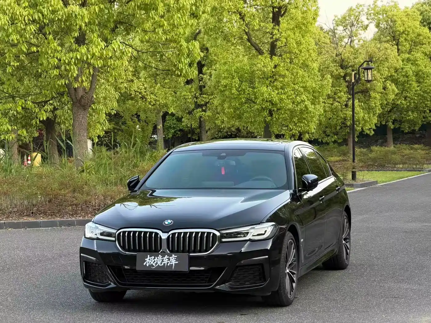 BMW 5 Series 2021 530Li Leading M Sport Package