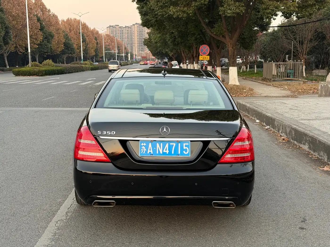 Mercedes-Benz S-Class 2010 S 350 L Luxury фото 5