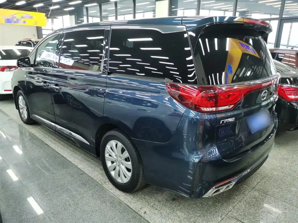 GAC Trumpchi Trumpchi M8 2020 Pilot 390T Premium Edition фото 23