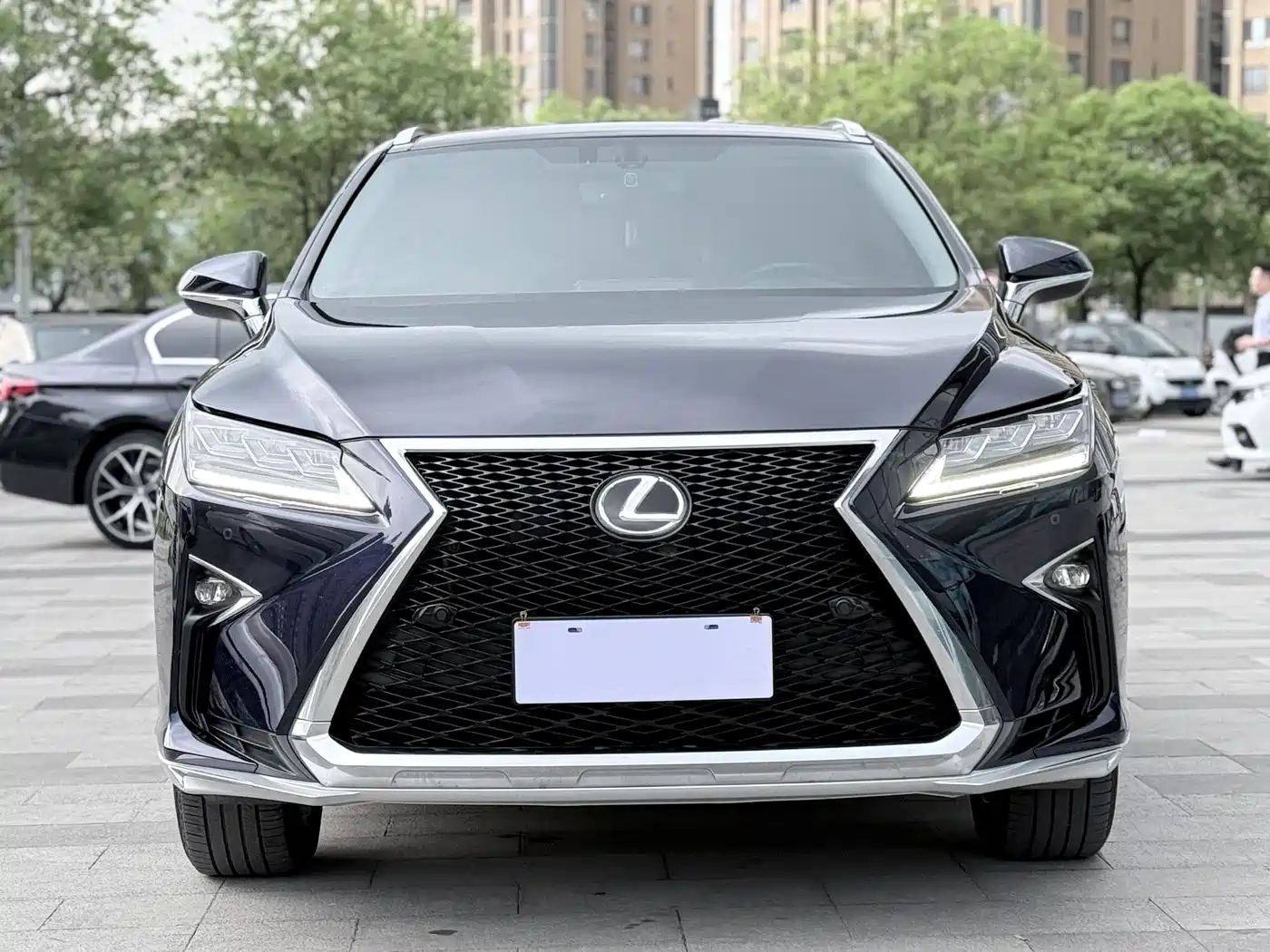Lexus RX 2016 300 4WD Elegance Edition (China V) фото 2