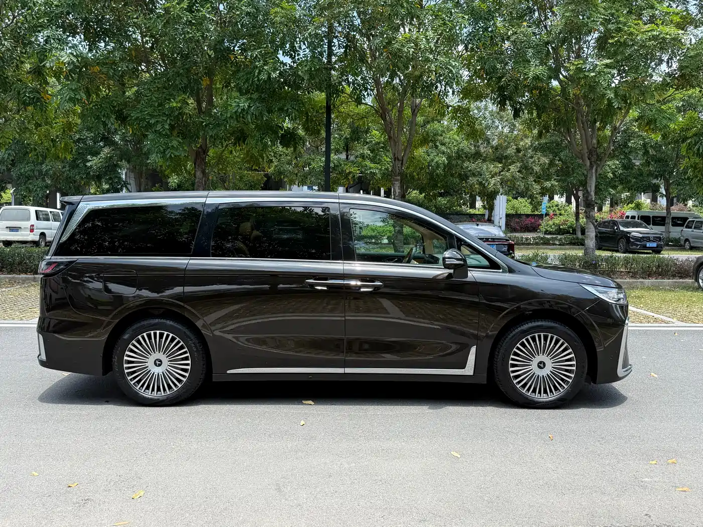Voyah Auto Voyah Dreamer 2025 PHEV AWD Flagship Kunpeng Edition фото 6