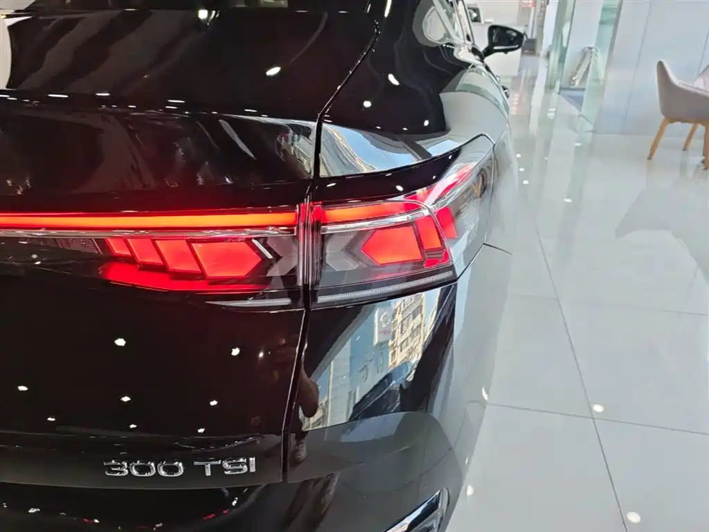 Volkswagen Magotan 2024 300TSI DSG Premium Edition (Eye-catching Package) фото 8