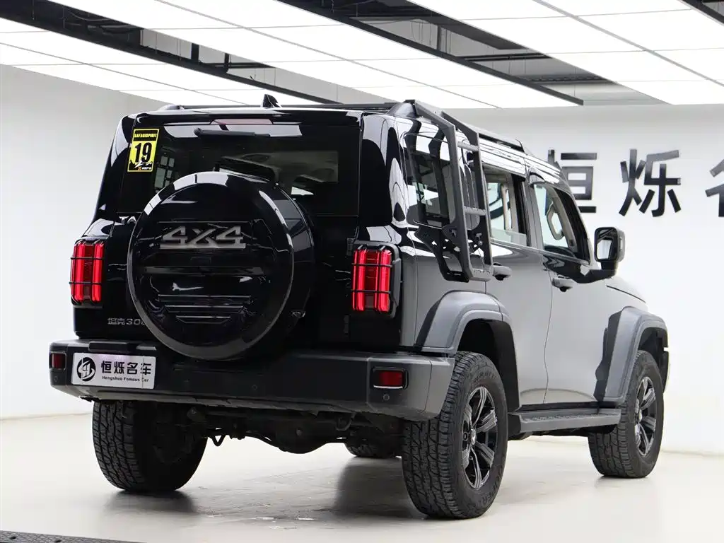 Tank 300 2021 Off-road Version 2.0T Conqueror фото 28