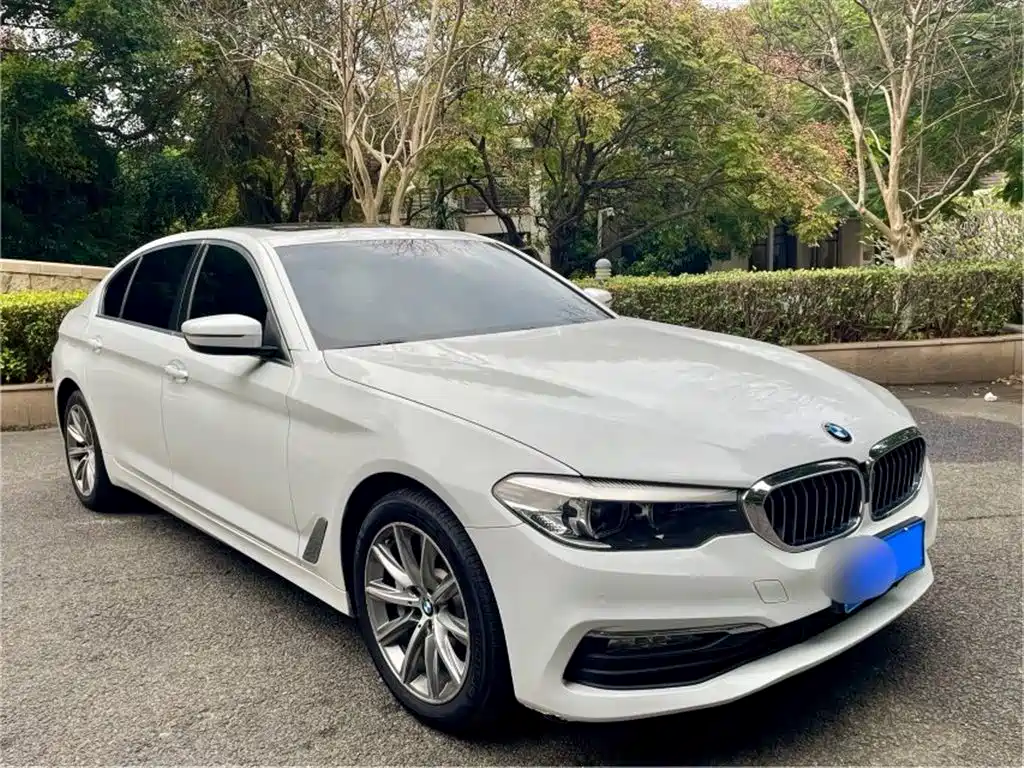 BMW 5 Series 2018 528Li Launch Special Edition фото 3