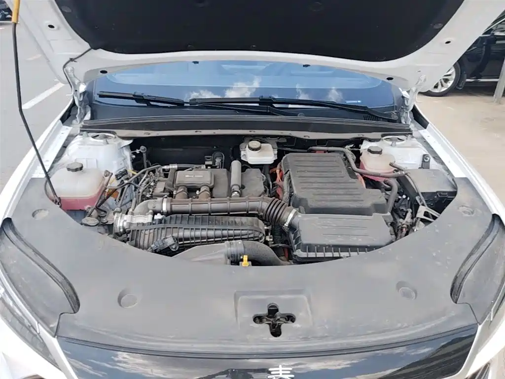 BYD Qin PLUS 2025 DM-i Smart Drive 55KM Leader фото 20