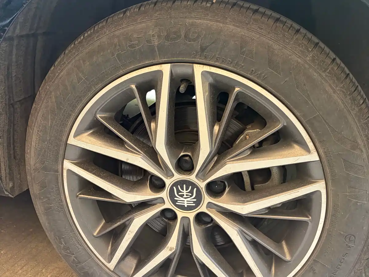 BYD Qin PLUS 2023 Champion Edition DM-i 120KM Leading Type фото 7