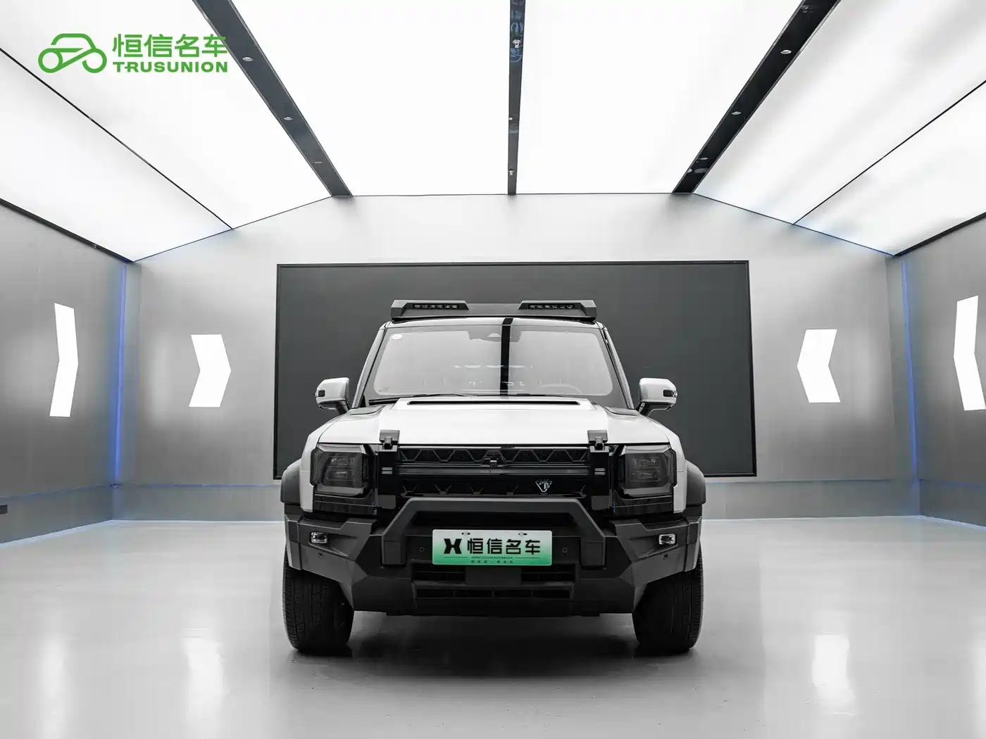 Jetour Shanhai T2 2024 2024 C-DM 208KM Wilderness Edition