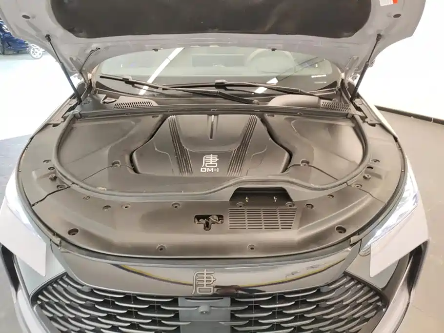 BYD Tang New Energy 2025 2025 Smart Driving Edition DM-i 115KM Flagship