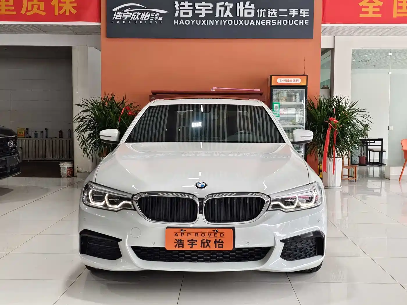 BMW 5 Series 2019 530Li Premium M Sport Package фото 2