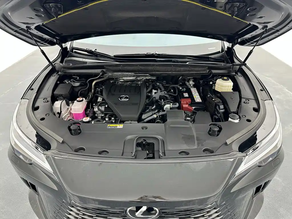 Lexus RX 2025 2025 300 4WD Premium Edition