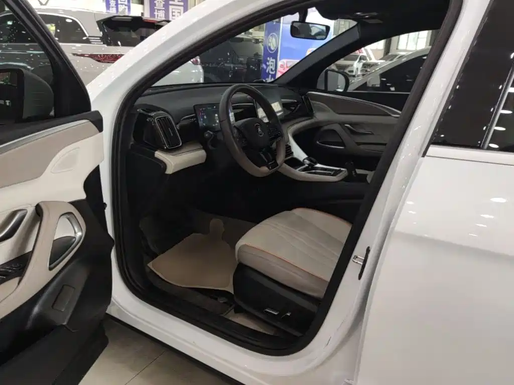 BYD Song Pro New Energy 2025 2024 Glory Edition DM-i 71KM Pilot