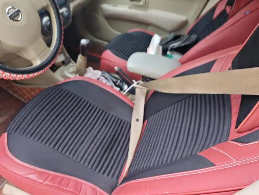 Фото 9 - Nissan Sylphy