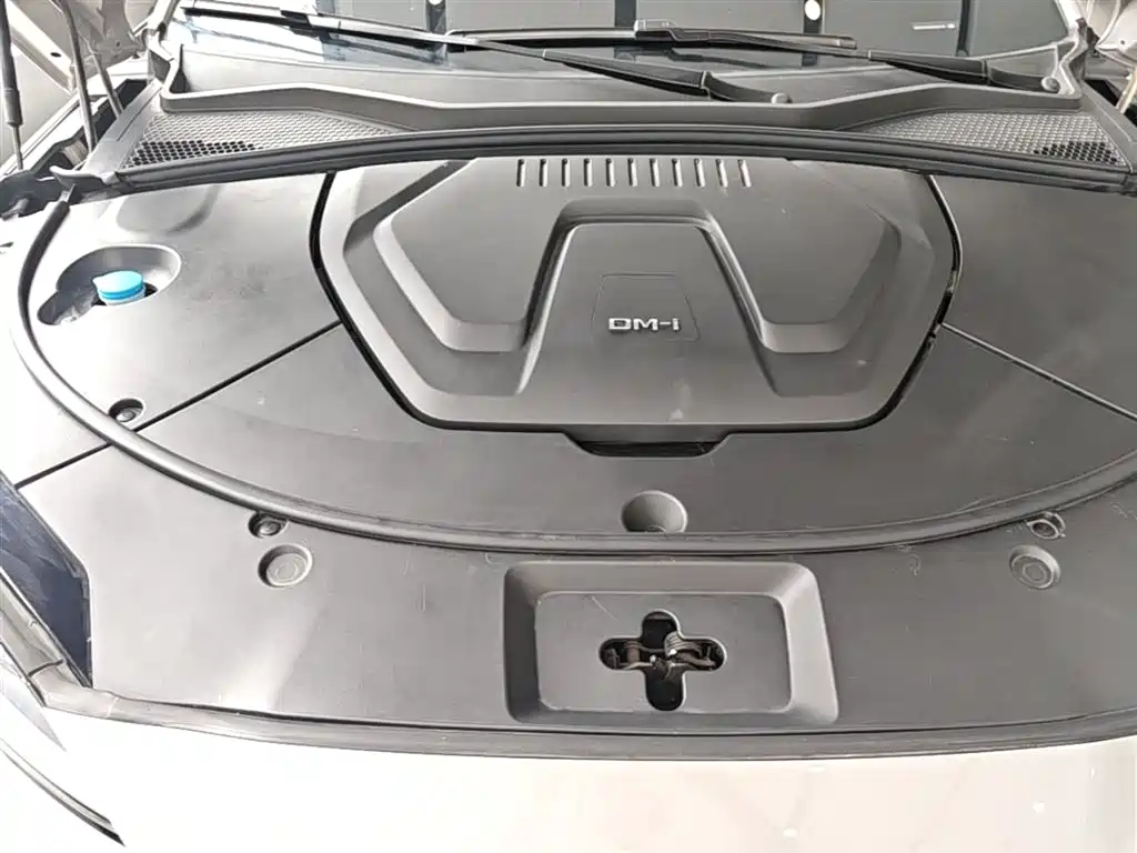 BYD Song PLUS PHEV 2024 Glory Edition DM-i 110km Flagship PLUS фото 20