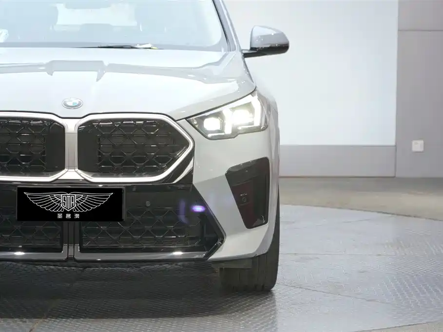 BMW X2 (Import) 2024 sDrive25i M Sport Package фото 3
