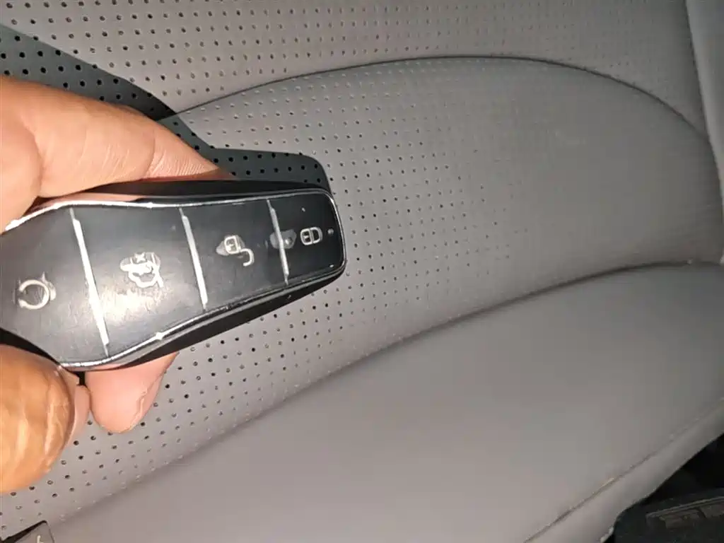 BYD Seal 07 DM-i 2025 DM-i 1.5L 125km Premium фото 9