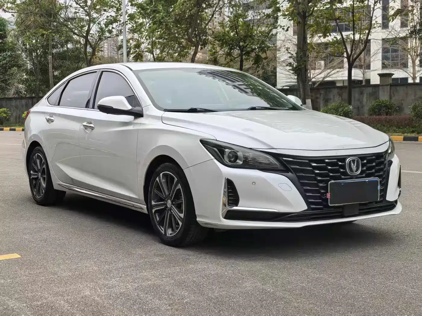 Changan Ruicheng CC 2022 2022 Blue Whale Edition 1.5T DCT Luxury