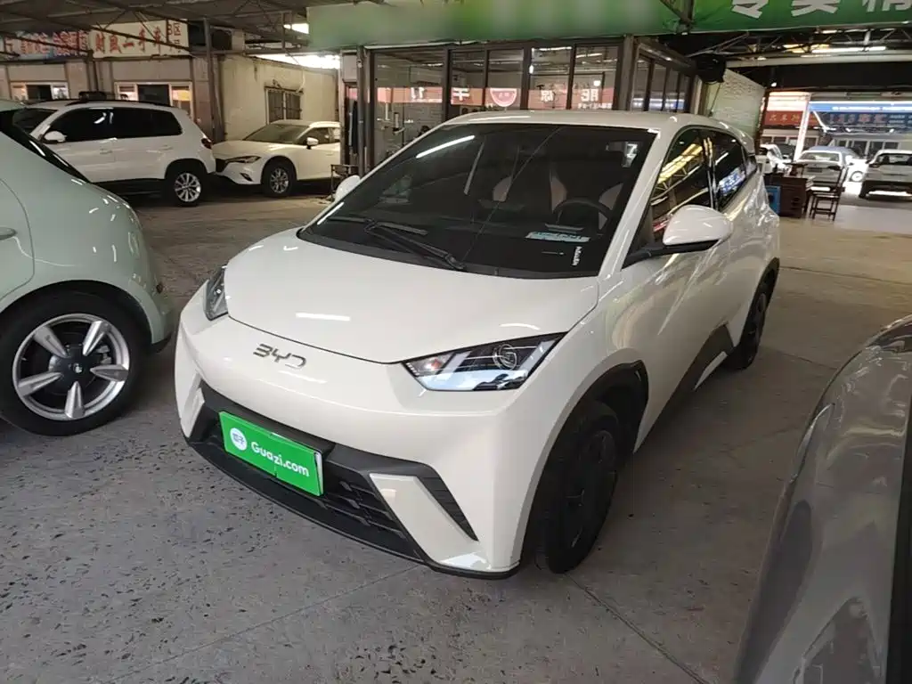 BYD Seagull 2025