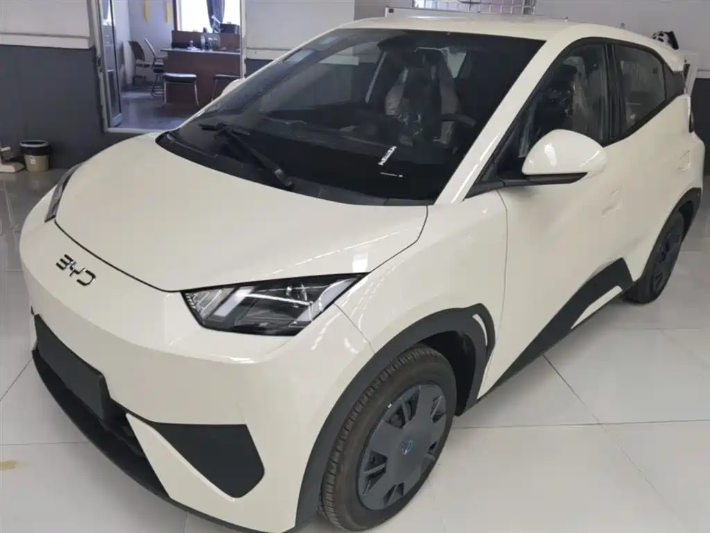 BYD Seagull 2025 Smart Drive Edition 305km Vitality Version