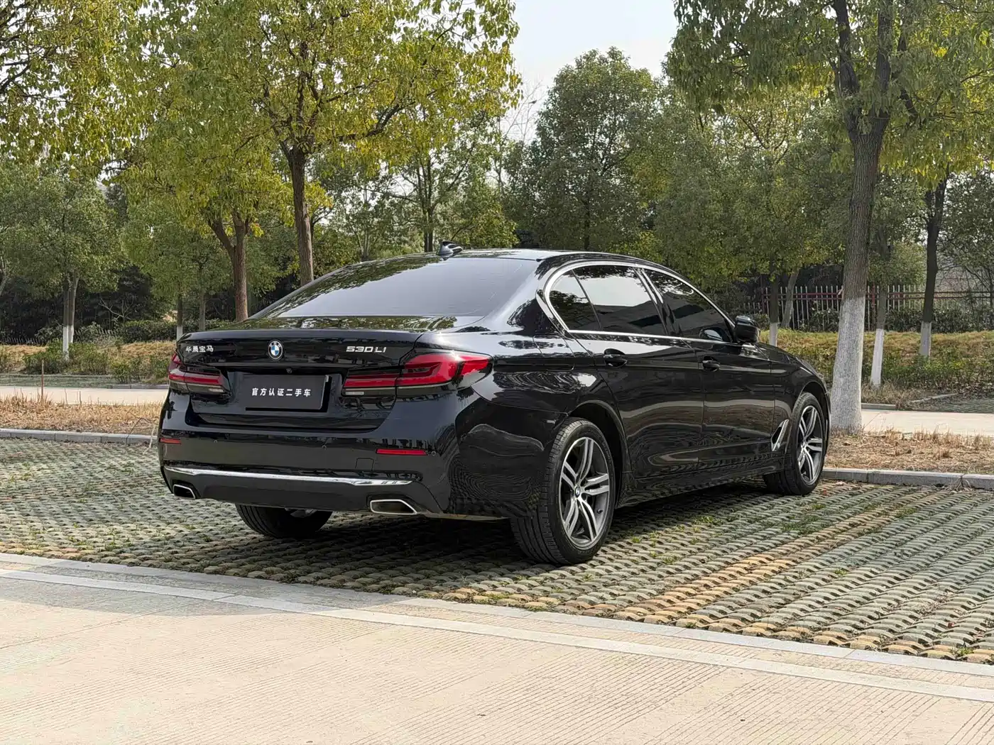BMW 5 Series 2022 530Li Leading Luxury Package фото 5