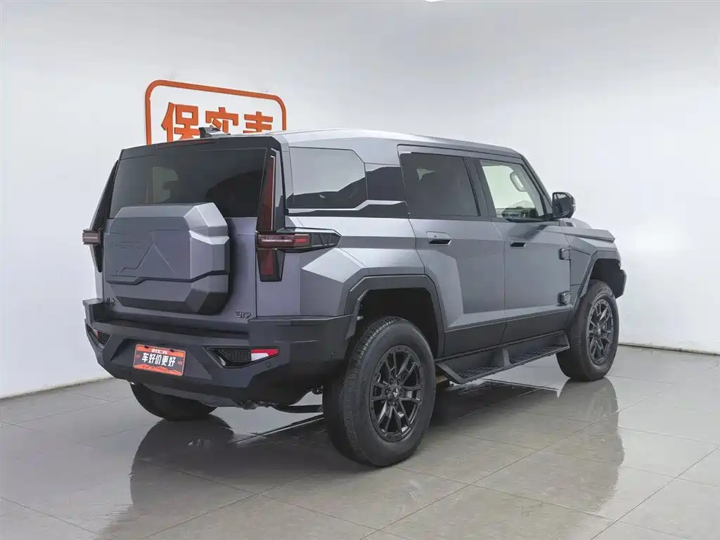 2024 Mengshi 917