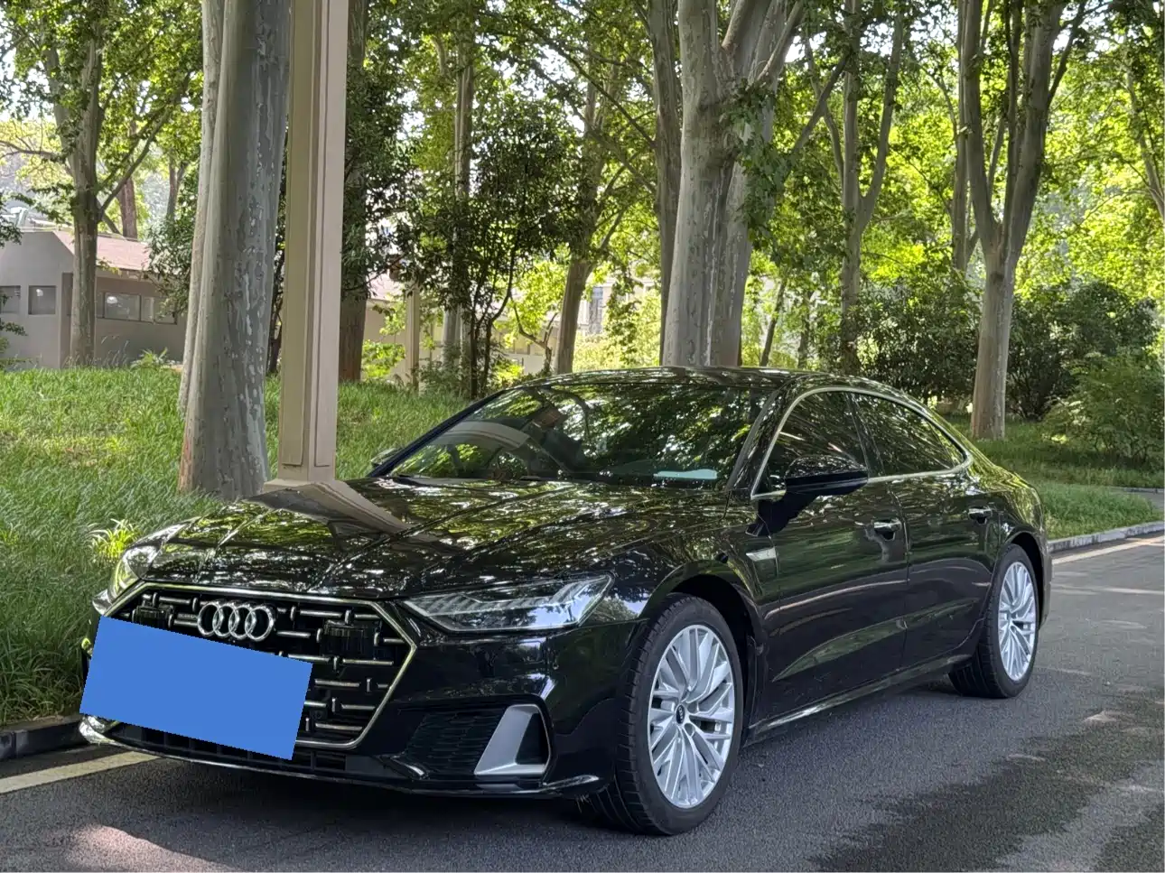 Audi A7L 2024 45TFSI S-line Dream Edition Crystal Package фото 6