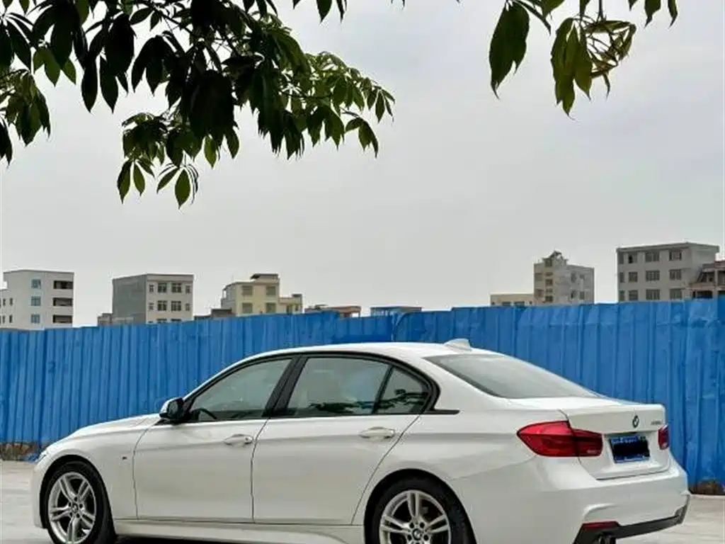 BMW 3 Series 2017 330Li M Sport фото 7