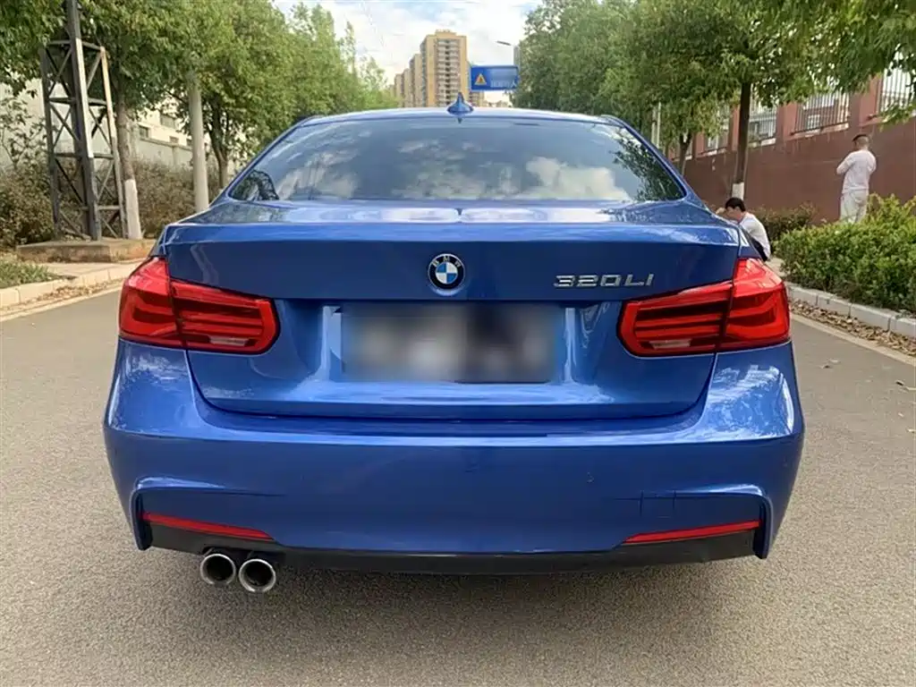 BMW 3 Series 2018 320Li Leading M Sport Package фото 10