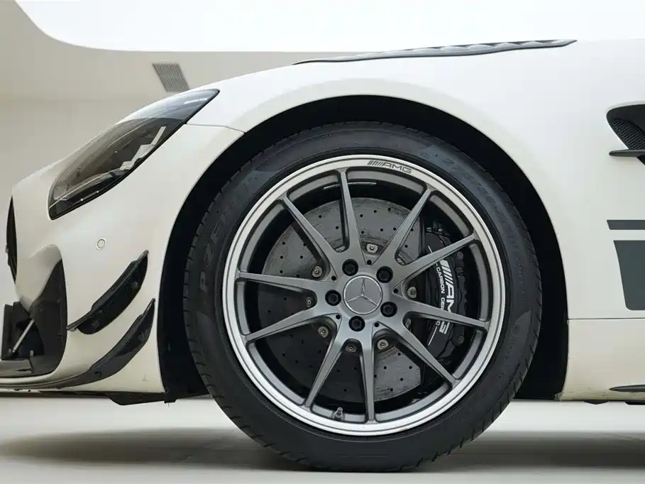 Mercedes-Benz AMG GT 2019 AMG GT R PRO фото 13