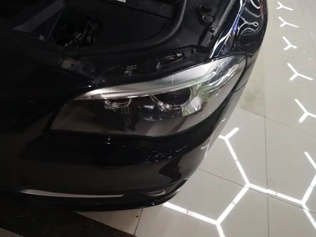 BMW 5 Series (Import) 2015 520i Elegance фото 24