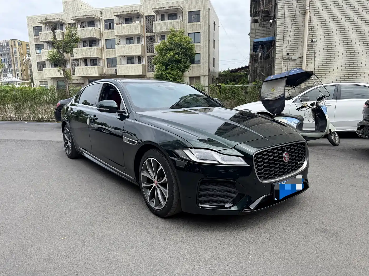 Jaguar XFL 2023 Model XFL 2.0T P250 2WD Elite Sport Edition фото 3