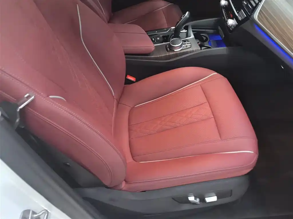 BMW 5 Series 2021 530Li Leading Luxury Package фото 25