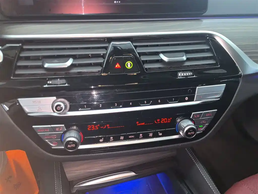 BMW 5 Series 2021 530Li Leading Luxury Package фото 13