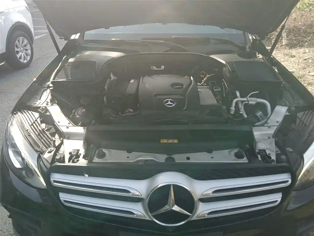 Mercedes-Benz GLC 2019 Facelift GLC 300 L 4MATIC Dynamic фото 16