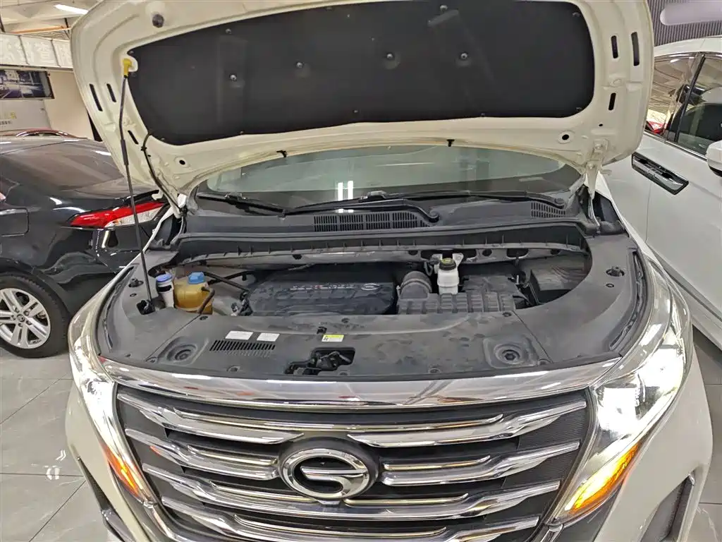 GAC Trumpchi Trumpchi M8 2020 Pilot 390T Premium Edition фото 16
