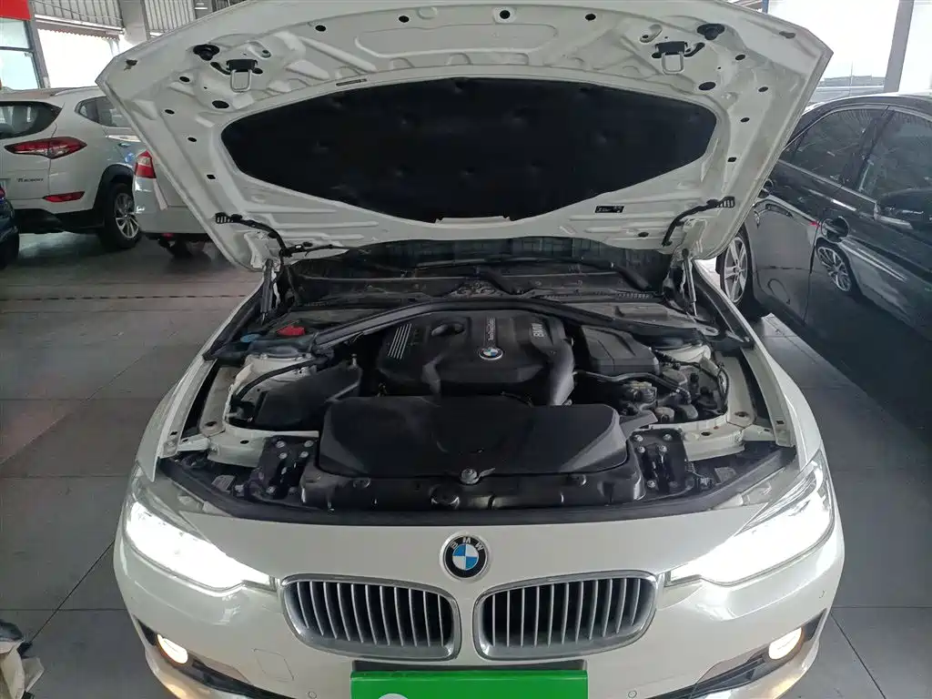 BMW 3 Series 2019 320Li Fashion Type фото 20
