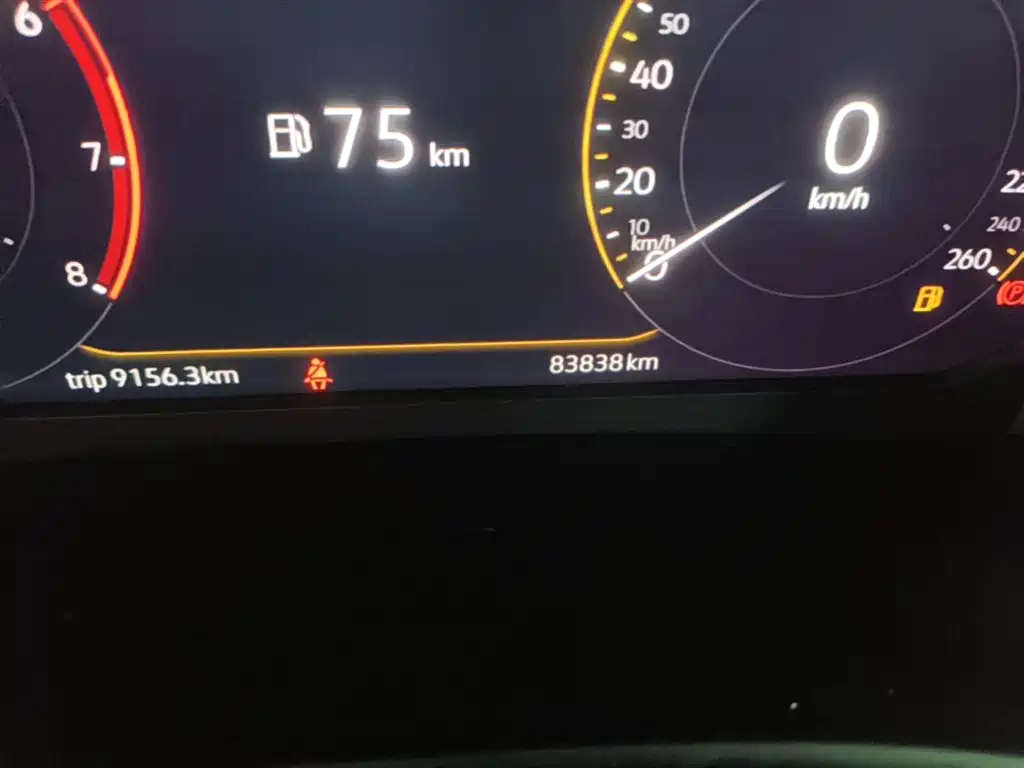 Volkswagen Teramont 2020 380TSI 4WD Luxury Edition China VI фото 19