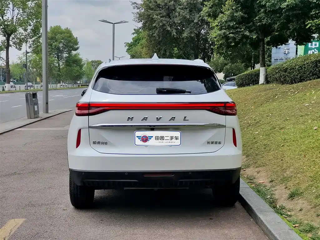 Haval H6 2022 3rd Gen 1.5T Auto 2WD Max фото 5